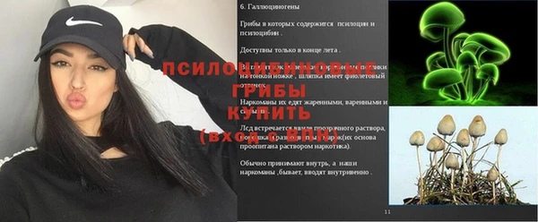 кокс Белокуриха
