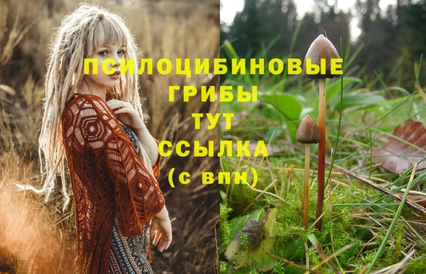 кокс Белокуриха