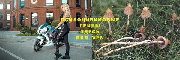 кокс Белокуриха